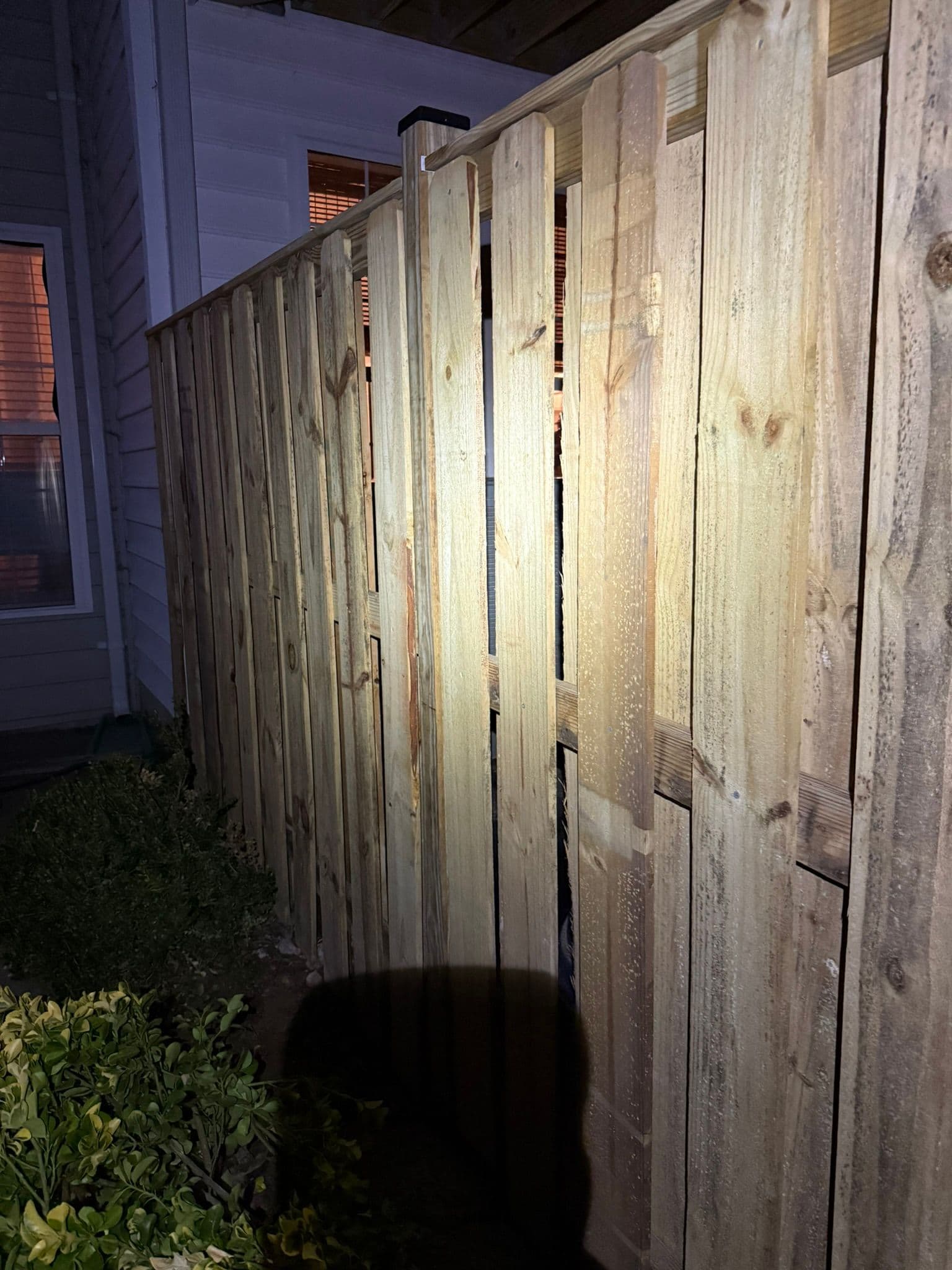 Fence Renovation 1