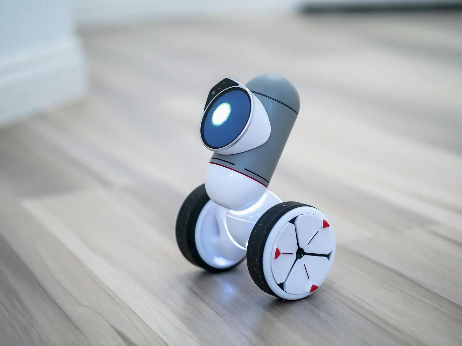 Smart Surveillance Systems 2